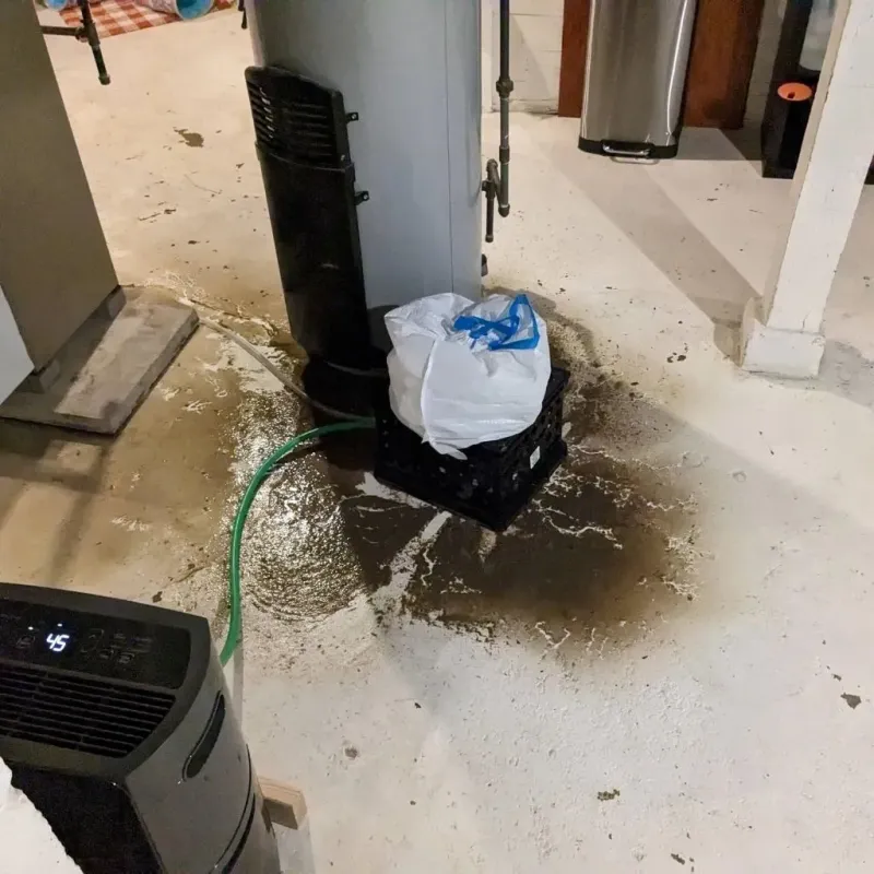 Sewage Backup Cleanup Service in Lower Lake, CA
